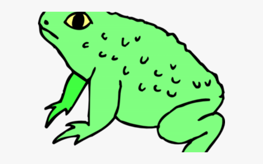 Toad Clipart, Transparent Clipart