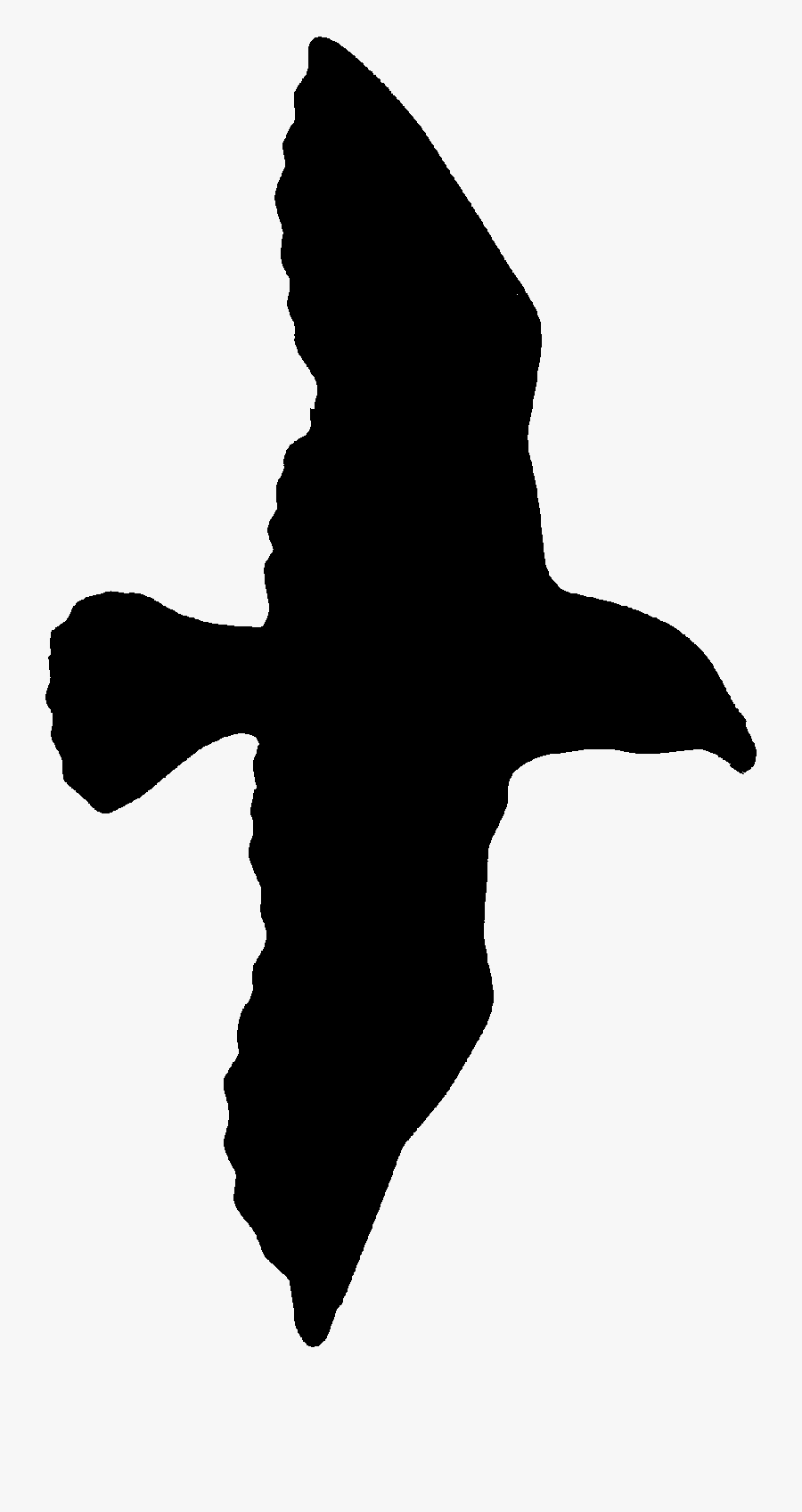 Sea Gull Clip Art Medium Size - Seagull Clip Art, Transparent Clipart