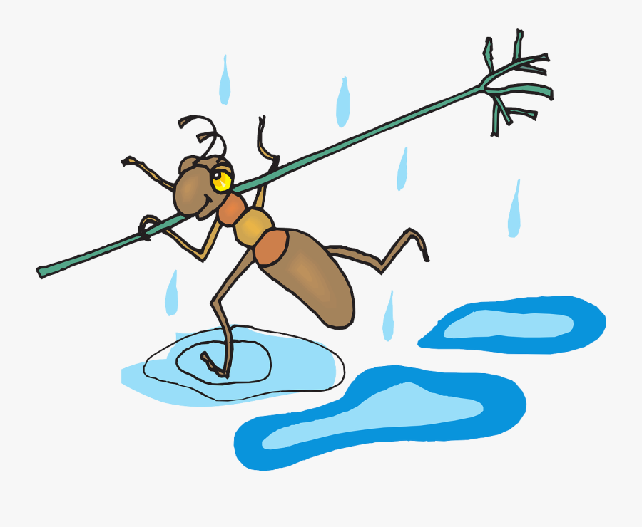 Fear Clipart Lack Confidence - Hormigas En El Agua, Transparent Clipart