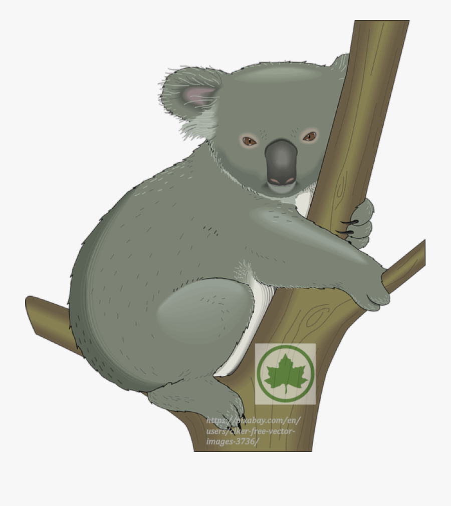 Transparent Alas Vector Png - Free Clip Art Koala, Transparent Clipart