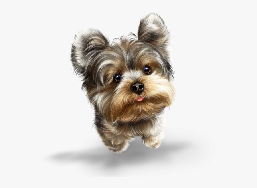 Transparent Yorkie Clipart - Yorkie Png, Transparent Clipart