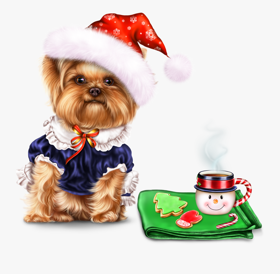 Csütörtök Reggel, Transparent Clipart