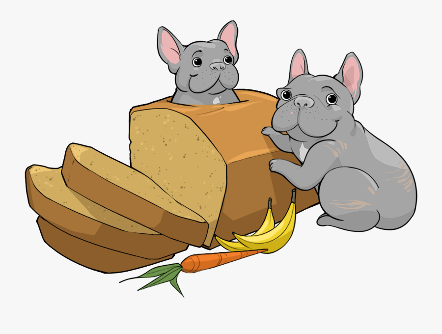 Chinchilla, Transparent Clipart