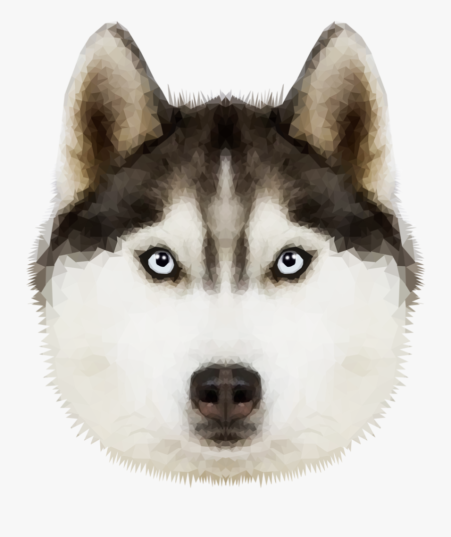 Husky Png Transparent Image - Siberian Husky Transparent, Transparent Clipart