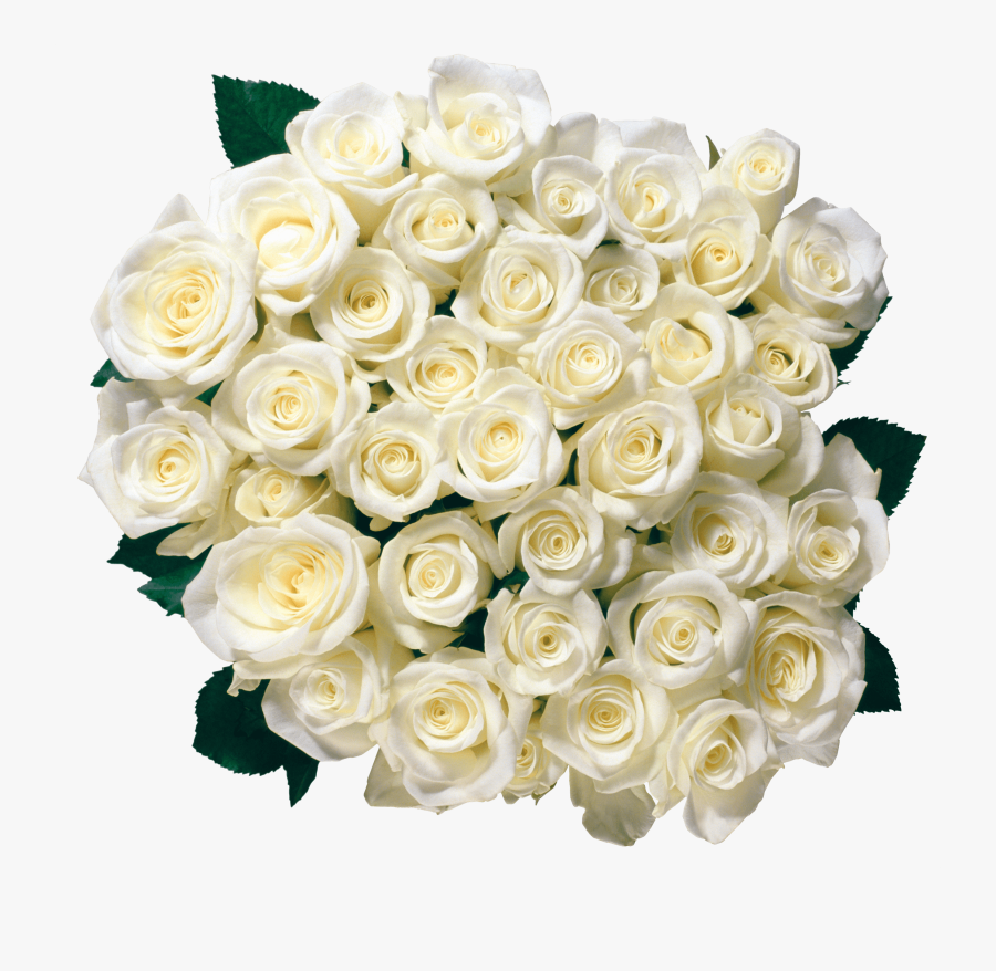 White Rose Bouquet Png - White Roses Png, Transparent Clipart