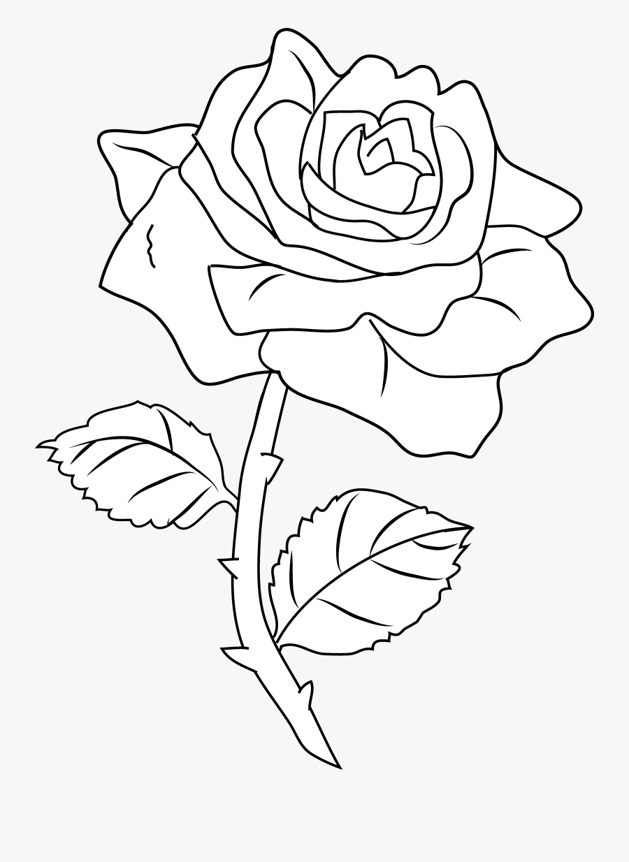 28 Collection Of Rose Clipart Black And White Transparent - White Rose Outline Png, Transparent Clipart
