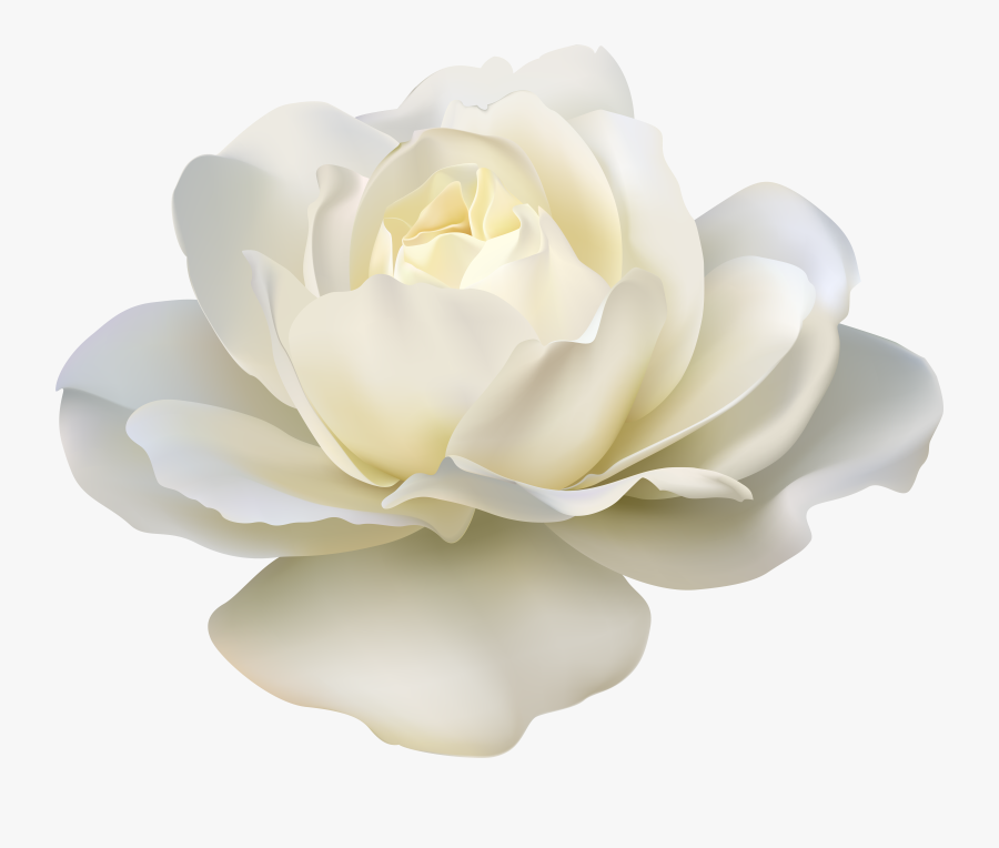 Pin By Niet On, Transparent Clipart