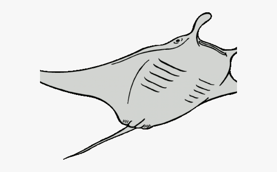 Dory Clipart Mr Ray - Line Art, Transparent Clipart