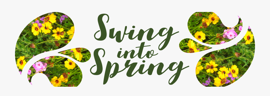 Transparent Header Clipart - Swing Into Spring Clipart, Transparent Clipart