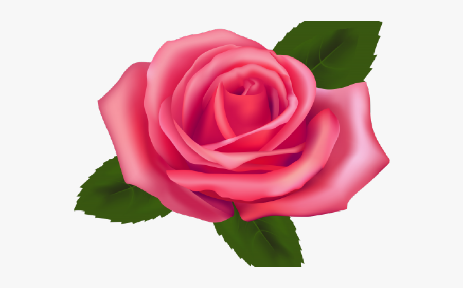 Free Pink Rose Clipart, Transparent Clipart