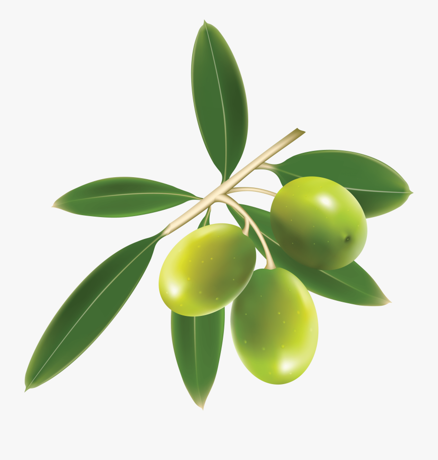 Green Olives Trio - Olives Clipart, Transparent Clipart