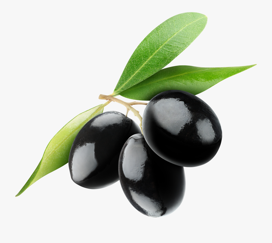 Olive Png, Transparent Clipart