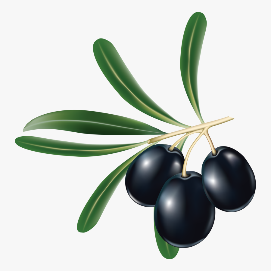 14280 - Black Olive Png, Transparent Clipart