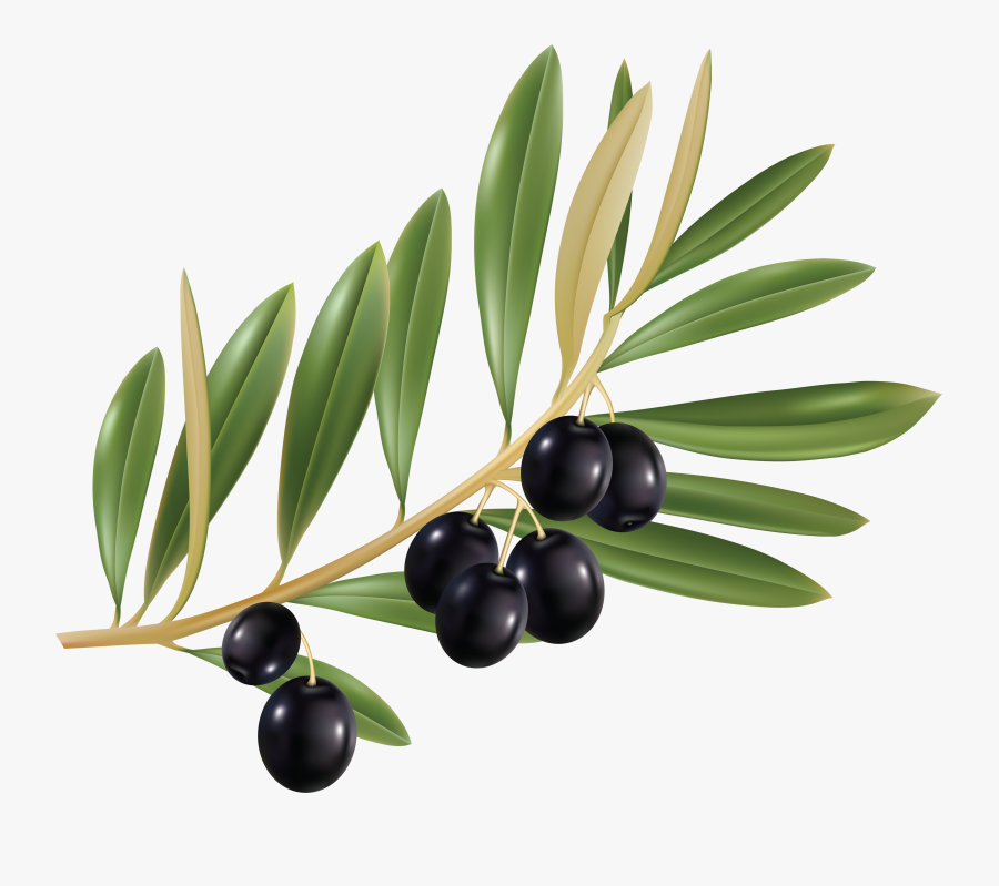 Transparent Background Olive Png, Transparent Clipart