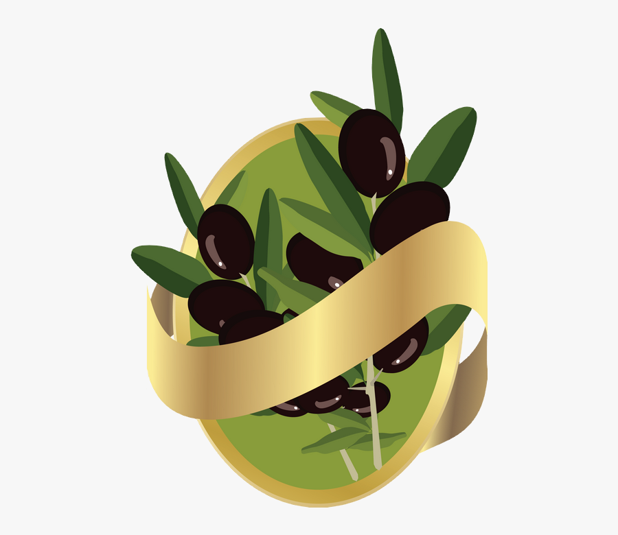 Olives Noires - Olive Oil Bottle Sticker, Transparent Clipart