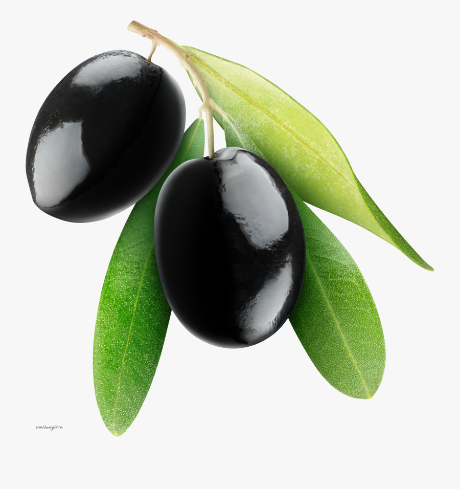 Olives Png Image - Black Olive Transparent Background, Transparent Clipart