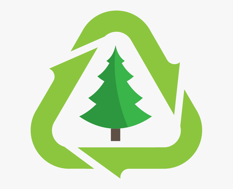 Christmas Tree Disposal, Transparent Clipart