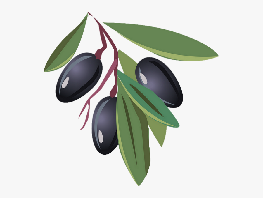 Transparent Olives Png - Olive Dessin, Transparent Clipart