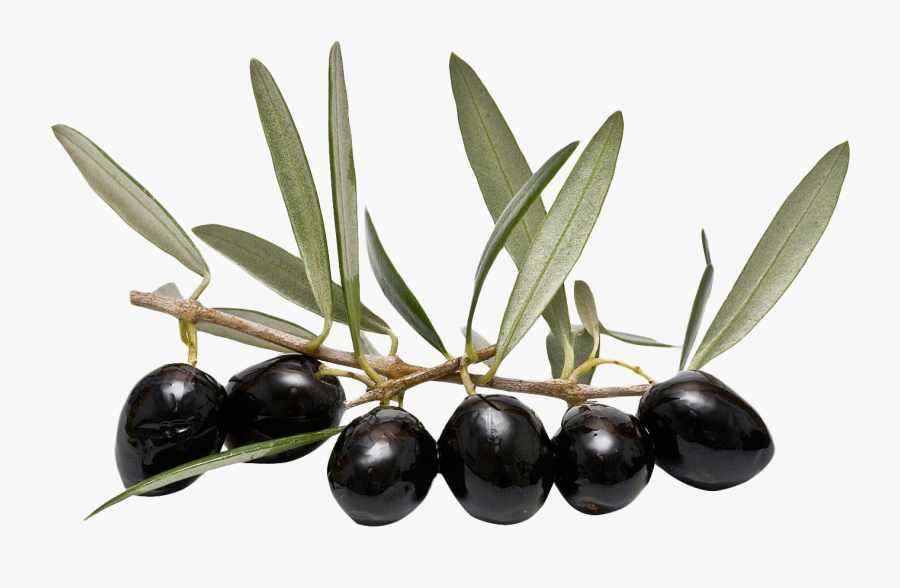 Olives Png Image - Olive With Transparent Background, Transparent Clipart