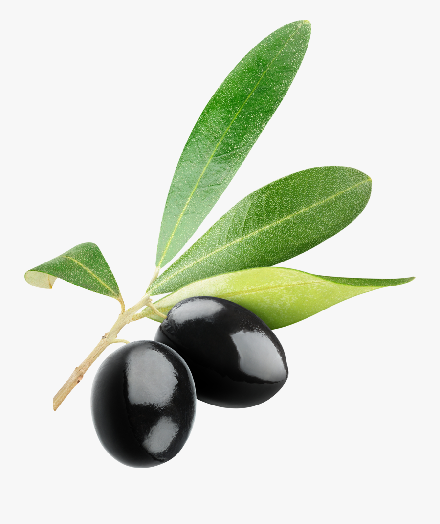 Olives Png Image - Free Clip Art Olive, Transparent Clipart