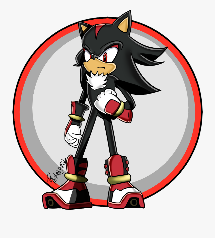 Shadow The Hedgehog Png Transparent