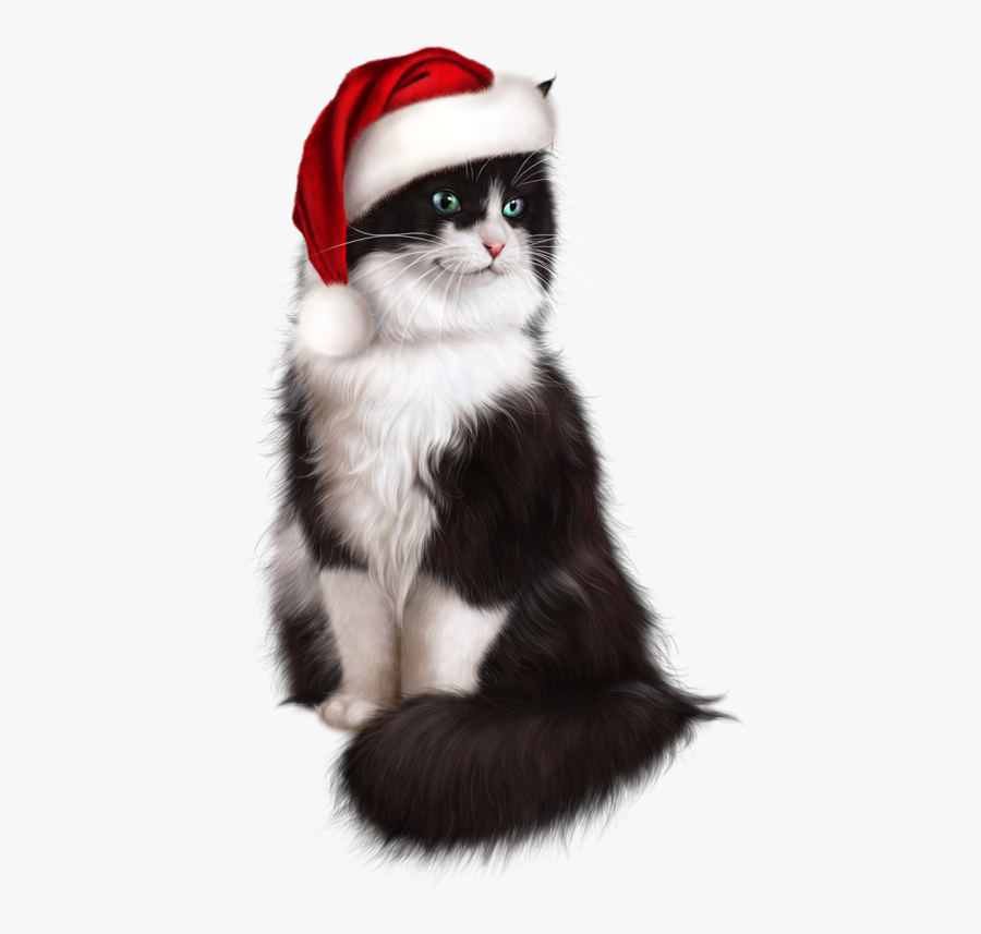 Christmas Kitty Cat, Transparent Clipart
