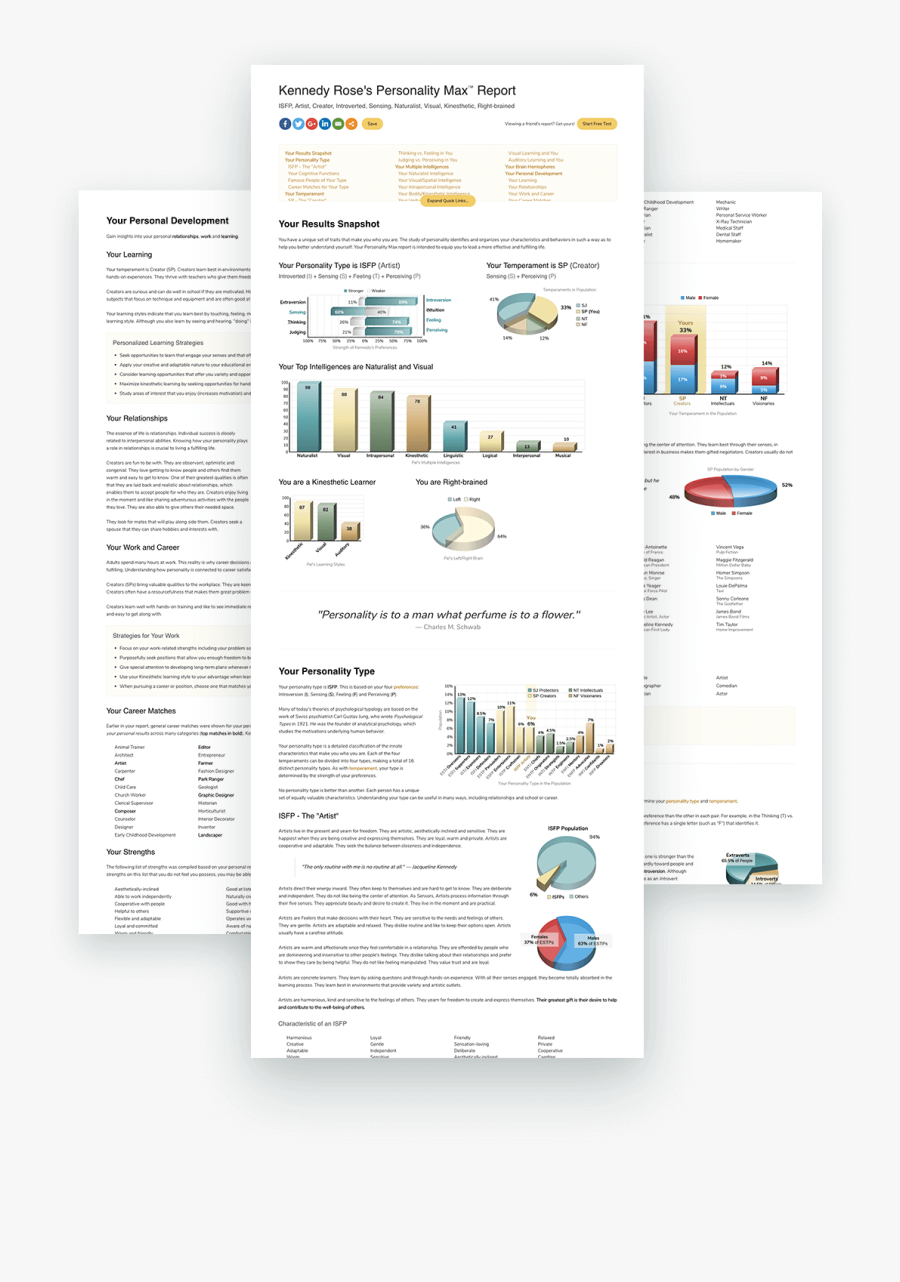 Transparent Personality Png - Personality Max Test Results, Transparent Clipart