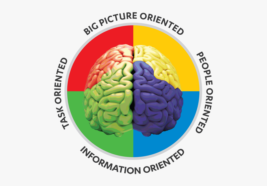 Clip Art Personality Color Quiz - E Colors, Transparent Clipart