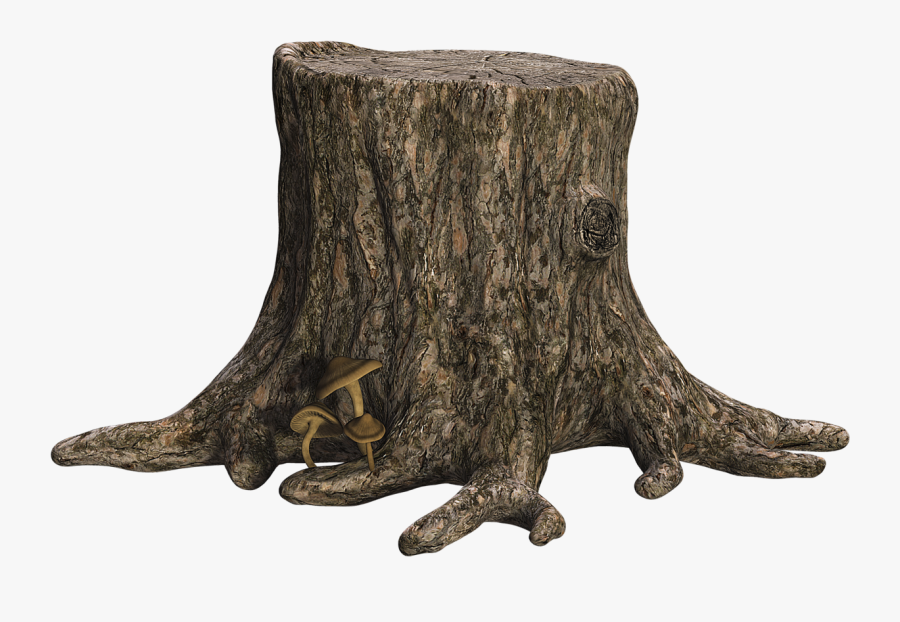 Tree Stump Png , Png Download - Tree Stump Transparent Background, Transparent Clipart
