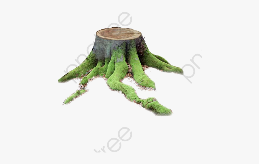 Free Trunk Buckle Elements - Trunk, Transparent Clipart