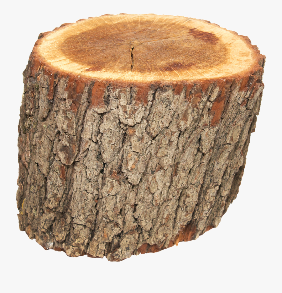 Пенек Пнг, Transparent Clipart