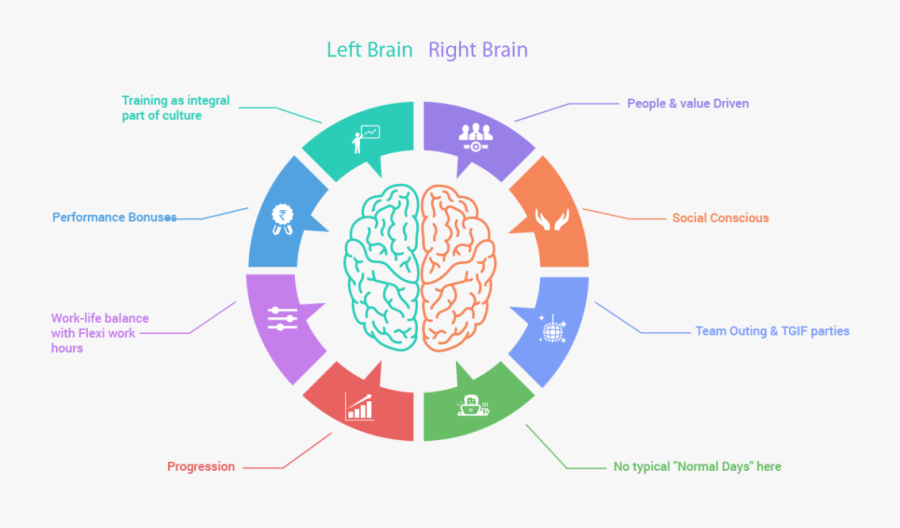 Left Hand Left Brain The Plot Thickens Dana Foundation - Left And Right Brain Png, Transparent Clipart