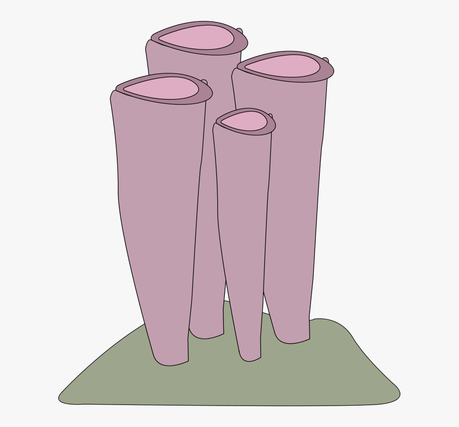 Sponge Shrimp - Coral Underwater Png Transparent, Transparent Clipart