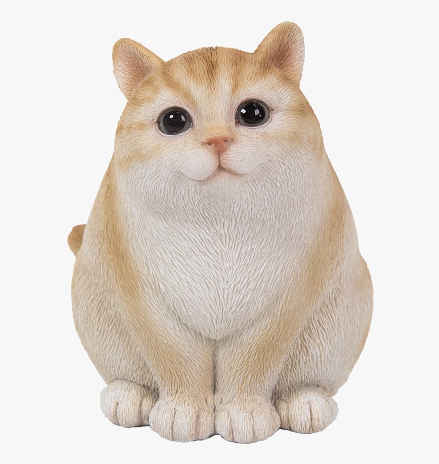Transparent Cute Cats Png - Fat Cat Cute Png, Transparent Clipart