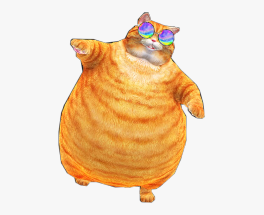 Clip Art Sunglasses Orange Freetoedit Report - Really Fat Orange Tabby Cat, Transparent Clipart