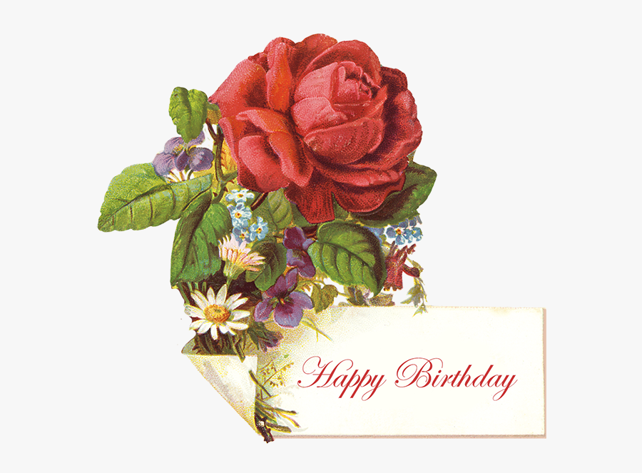 Vintage Birthday Greeting With Red Rose - Vintage Birthday Messages, Transparent Clipart