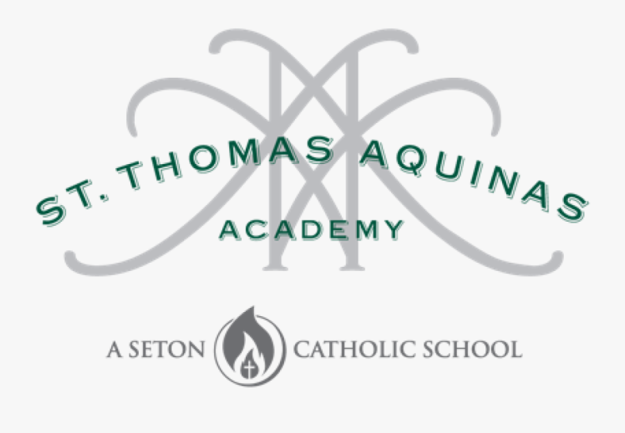 Staa - Umdnj Som, Transparent Clipart