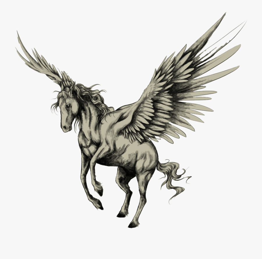 Tattoo Horse Pegasus Drawing Sketch Png Free Photo - Pegasus Sketch, Transparent Clipart
