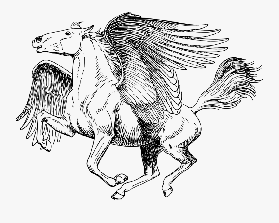 Transparent Roman Gods Clipart - Drawing Of Flying Horse, Transparent Clipart