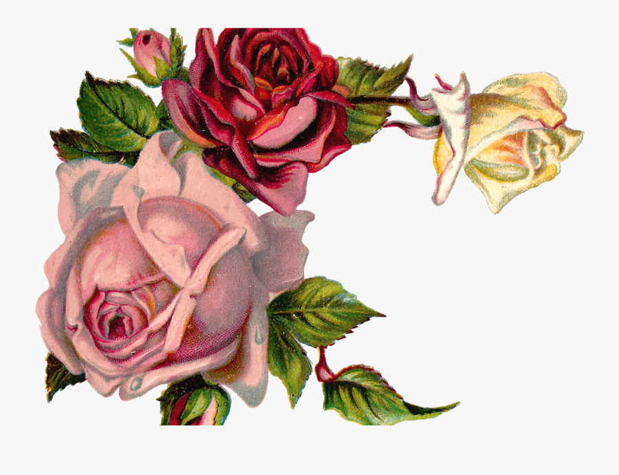 Free Digital Flower Pink Rose Corner Design - Vintage Pink Flower Corner Png, Transparent Clipart