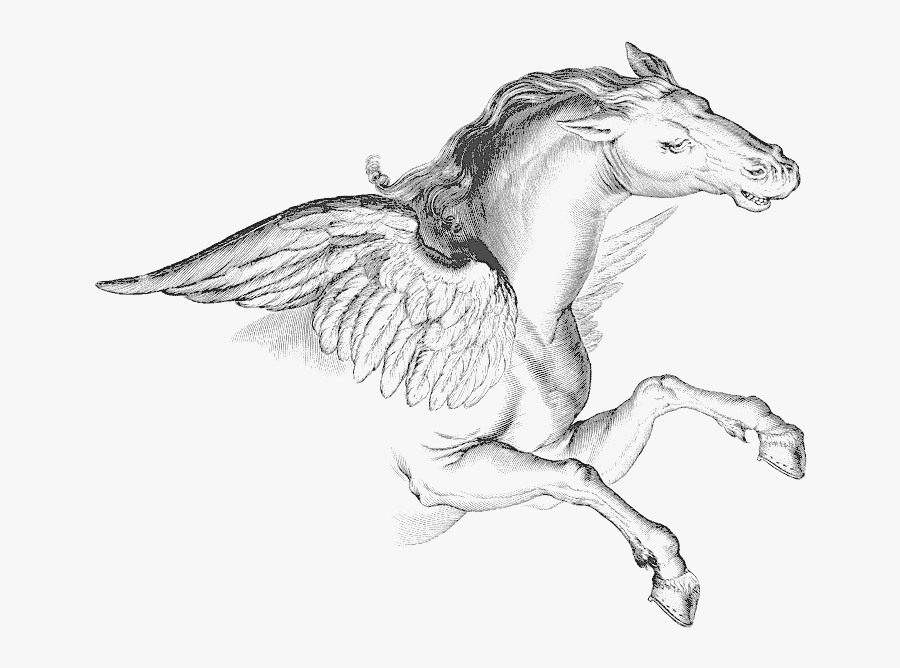 Pegasus Transparent Background, Transparent Clipart