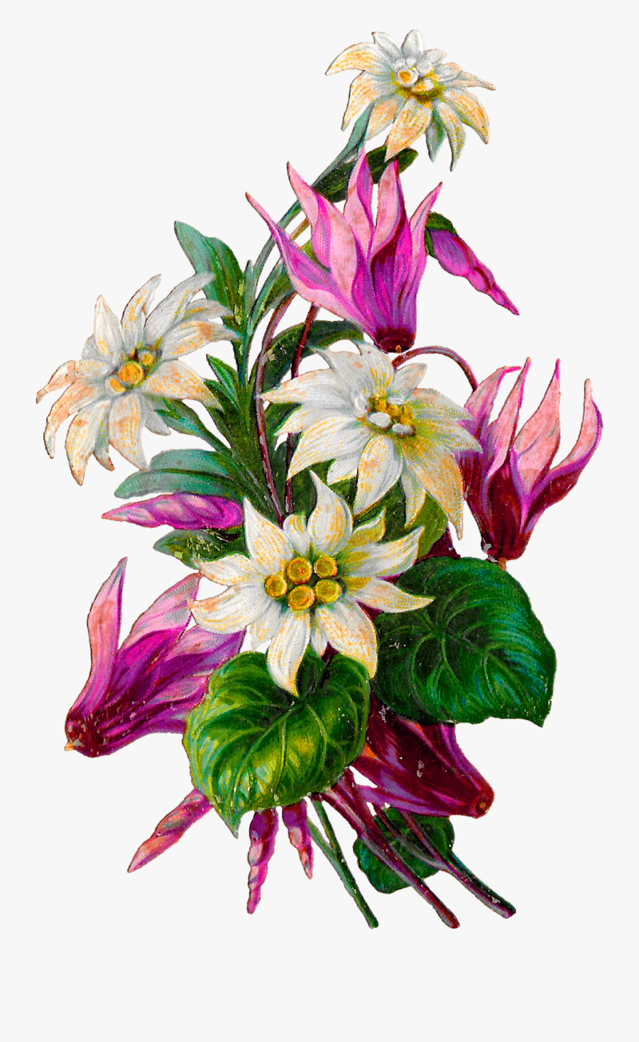 Flower Botanical Artwork Shabby Image Printable Clipart - Bouquet, Transparent Clipart