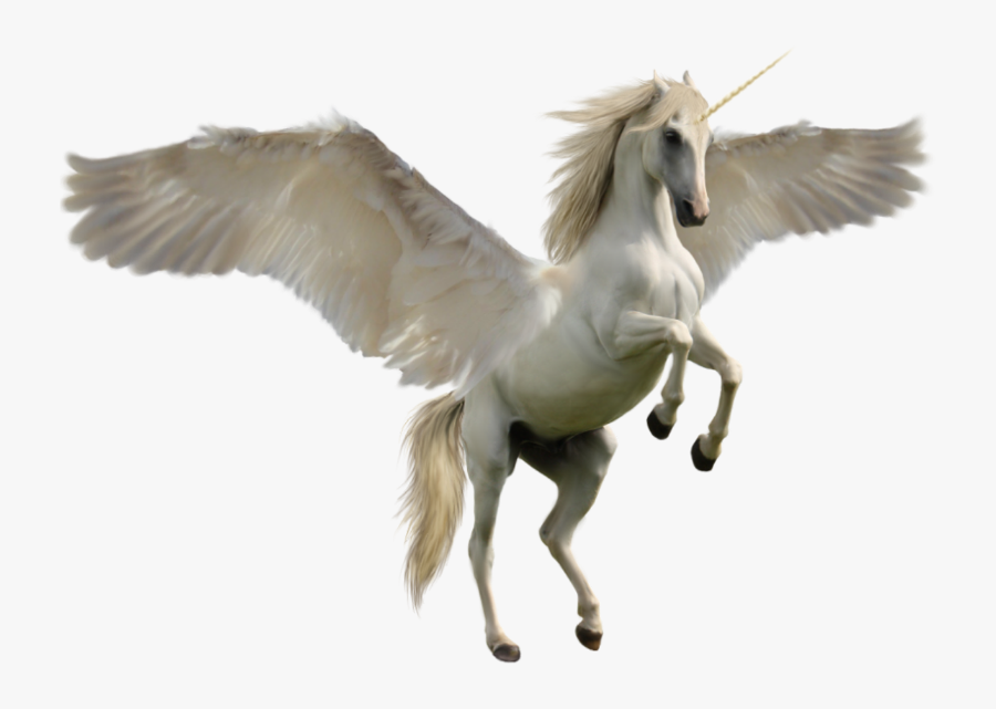 24995 - Unicorn Horse, Transparent Clipart
