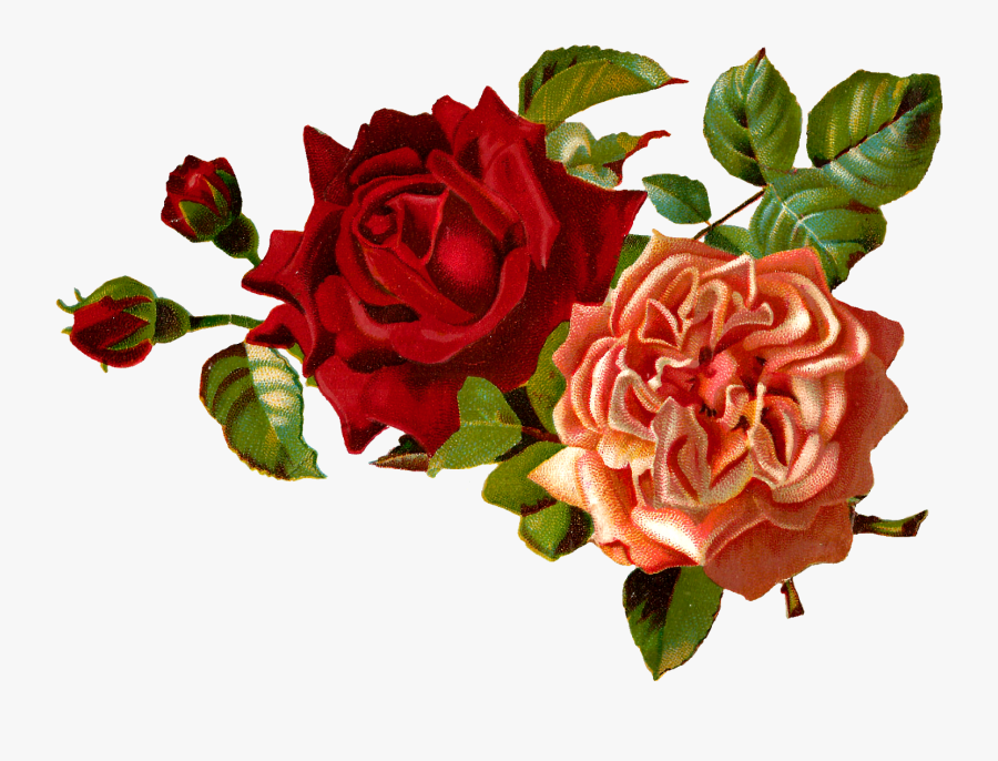 Rose Clipart Vintage Roses - Transparent Vintage Flower Png, Transparent Clipart