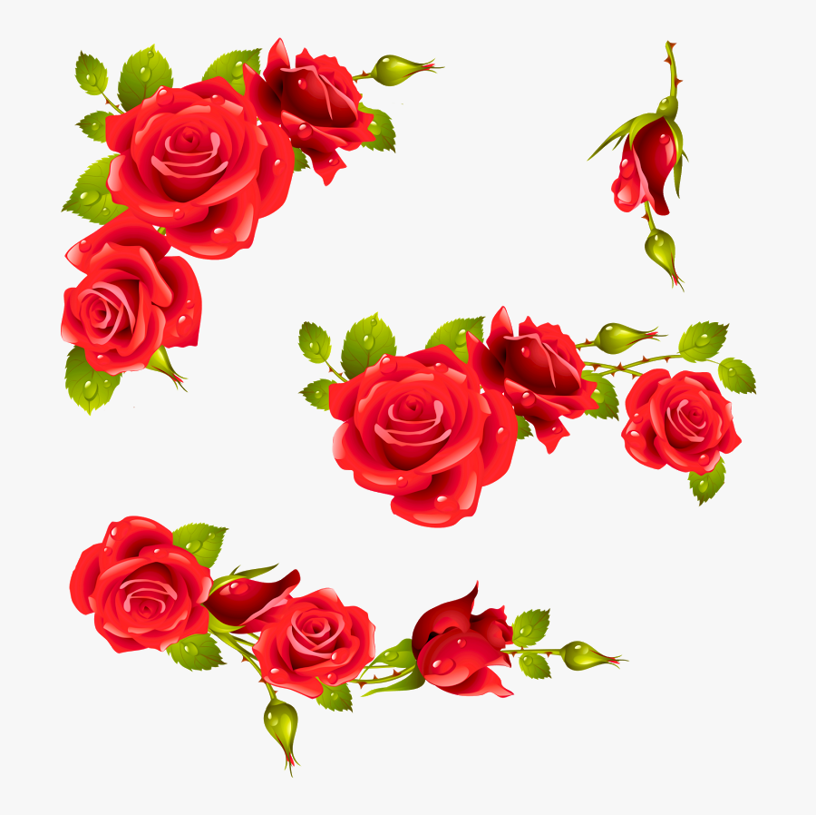 Rose Transparent Background Floral Png, Transparent Clipart