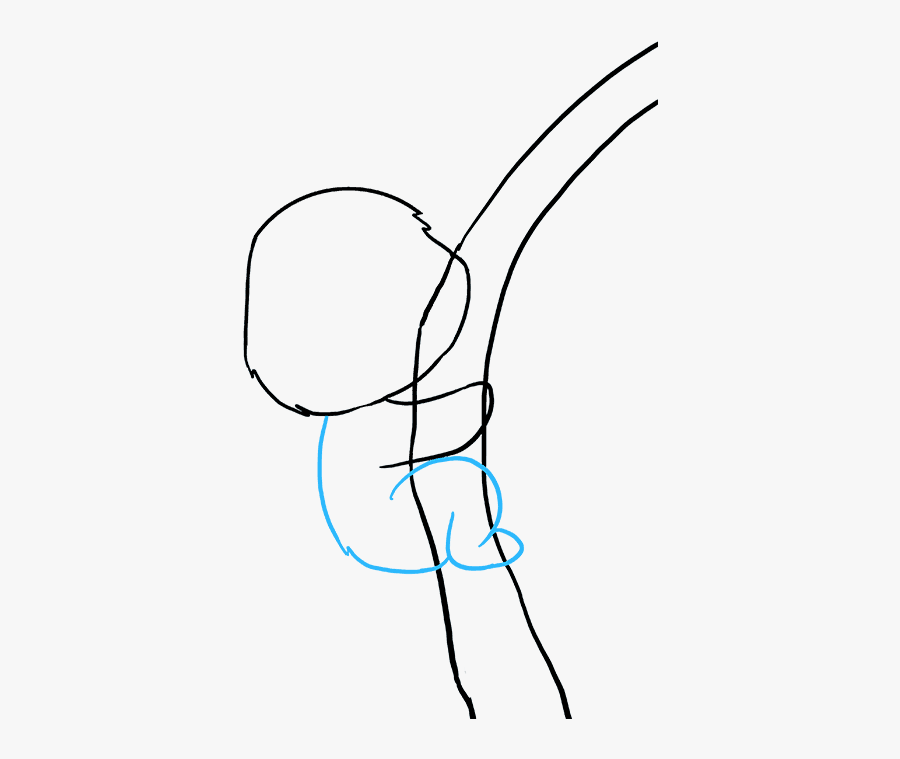 How To Draw A Koala - Line Art, Transparent Clipart