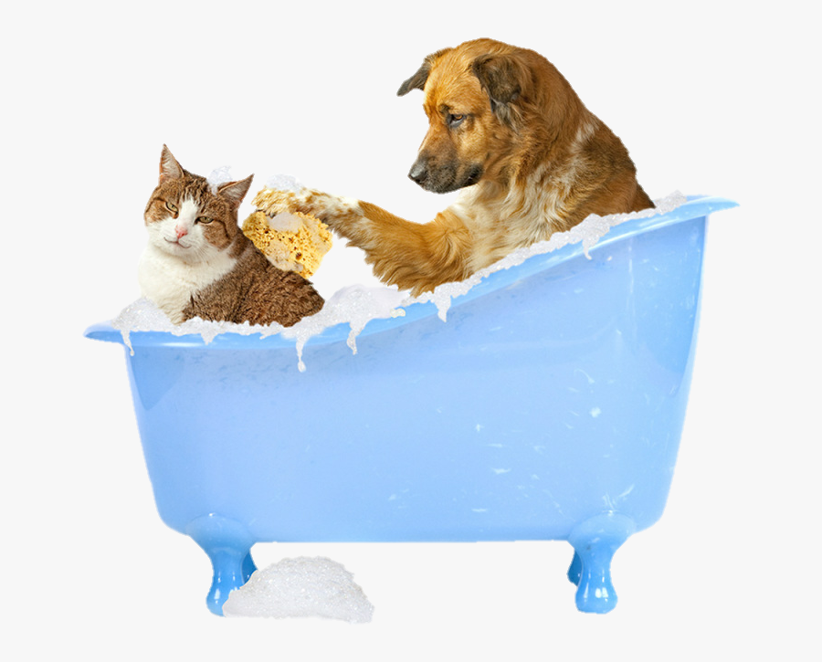 This Counts As Cleancore - Pet Bathing, Transparent Clipart
