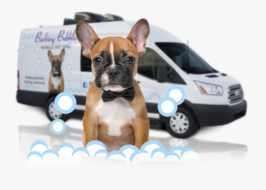 Mobile Pet Grooming Bath Bubbles - Mobile Pet Grooming Columbus Ohio, Transparent Clipart