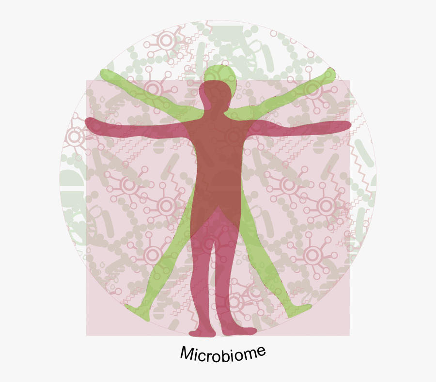 Illustration, Transparent Clipart