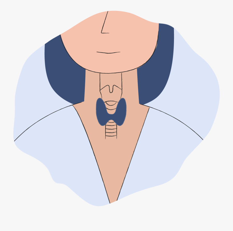 Hashimoto Hypothyroidism - Thyroid Png, Transparent Clipart